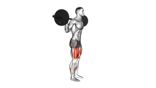 Barbell Forward Backward Lunge exercise