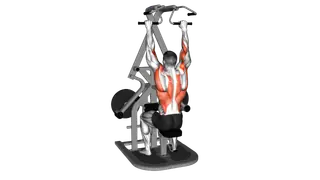 Lever Seated Wide Lat Pulldown