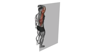Roll Ball Triceps Latissimus Dorsi Stretch exercise