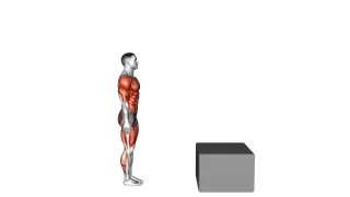 Burpee Jump Box