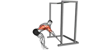 Band Bent Over Rear Deltoid Kickback exercise
