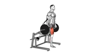Lever Bulgarian Split Squat (plate loaded)