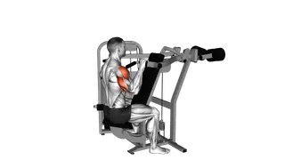 Lever Reverse Seated Shoulder Press exercise
