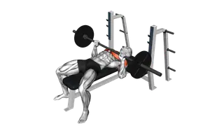 Barbell Explosive Bench Press exercise