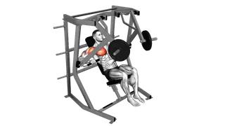 Lever Decline Single Arm Chest Press exercise