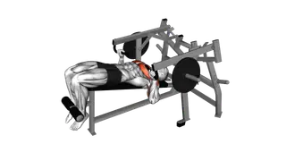 Lever Lying Decline Chest Press (plate loaded)