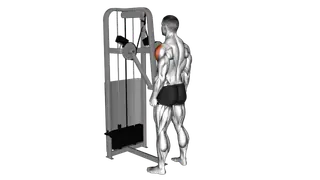 Lever Standing Lateral Raise