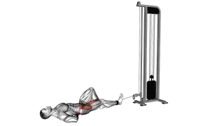 Cable Lying Single Leg Hip Flexion exercise
