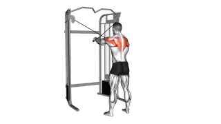 Cable 45 degrees Reverse Fly exercise