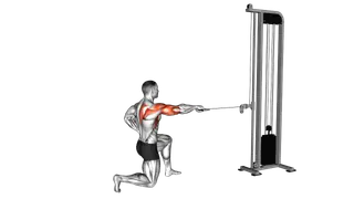 Cable Half Kneeling External Rotation Press exercise
