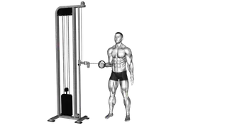Cable Forearm Pronation