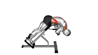45 degrees Back Extension Scapular Adduction exercise