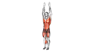 Alternate Leg Lift Double Hands Crunch exercise