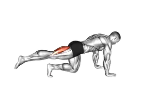 Kneeling Single Hamstring Curl exercise