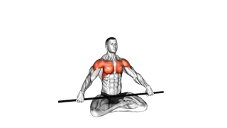 Seated Stick Pass Around Stretch exercise