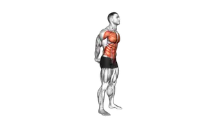 Forward Bend Back Stretch exercise