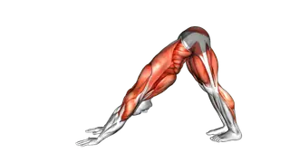 Downward Dog Squat exercise