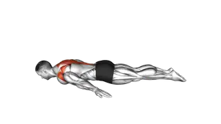 Superman Back Raise exercise