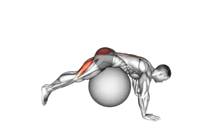 Reverse Hyperextension on Stability Ball exercise