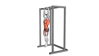 Hanging Tucked Front Lever Hold exercise