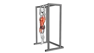 Hanging Front Lever Hold exercise