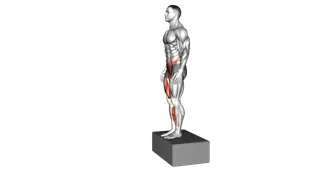 Box Drop to Single Leg Land exercise