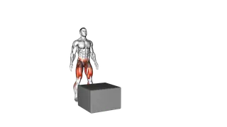 Box Drop Split Stance Land exercise