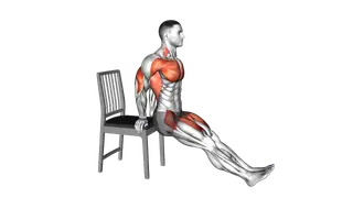 Sitting Dip and Leg Raise on a Chair