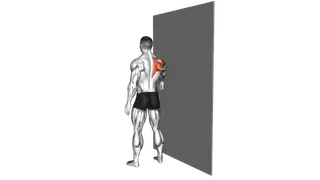 Standing Single Arm Circle on a Wall exercise