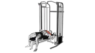 Cable Alternative Fly exercise