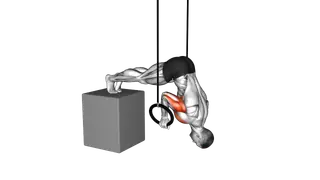 Ring Elevanted Pike Push up from deficit exercise