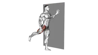 Wall Supported Front Leg Swing exercise
