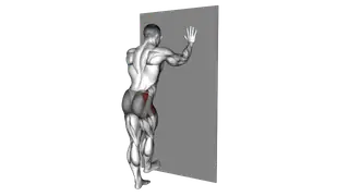 Wall Supported Side Leg Swing exercise
