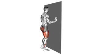 Wall Supported Reverse Lunge