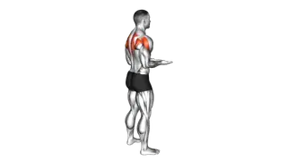 Bodyweight Standing Scapular External Rotation