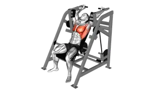Lever Alternating Pullover (plate loaded) exercise
