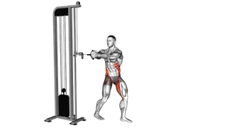 Cable Oblique Twist