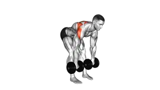 Dumbbell Bent Over Wide Row exercise