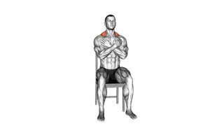 Bodyweight Sitting Alternating Shrug