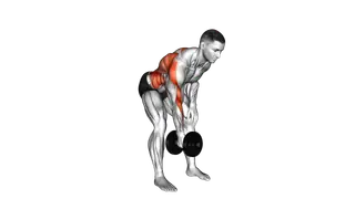 Dumbbell Bent over Twisting Row exercise
