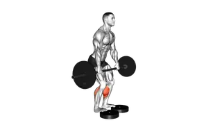 Barbell Standing Bent Knee Calf Raise from Deficit exercise