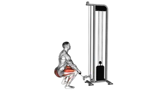 Cable Squat