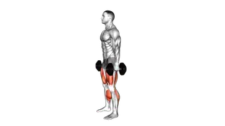Dumbbell Romanian Deadlift to Squat