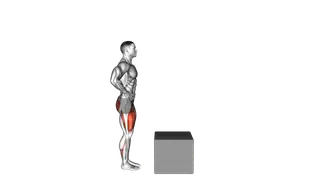 Step Up on Box exercise