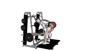 Lever Belt Romanian Deadlift exercise