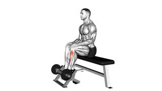 Lever Sitting Toe Raise exercise