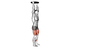 Weighted Plate Overhead Forward Lunge exercise