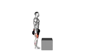 Dumbbell Step over Box exercise