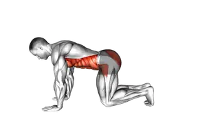 Plank from Knees exercise