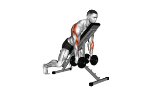 Dumbbell Row with Chest Supported exercise